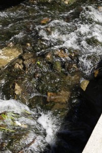 1-water